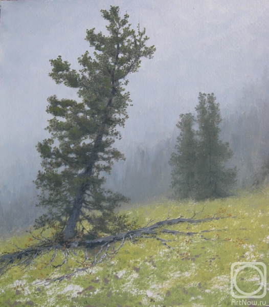 �������. ������� �������. �����