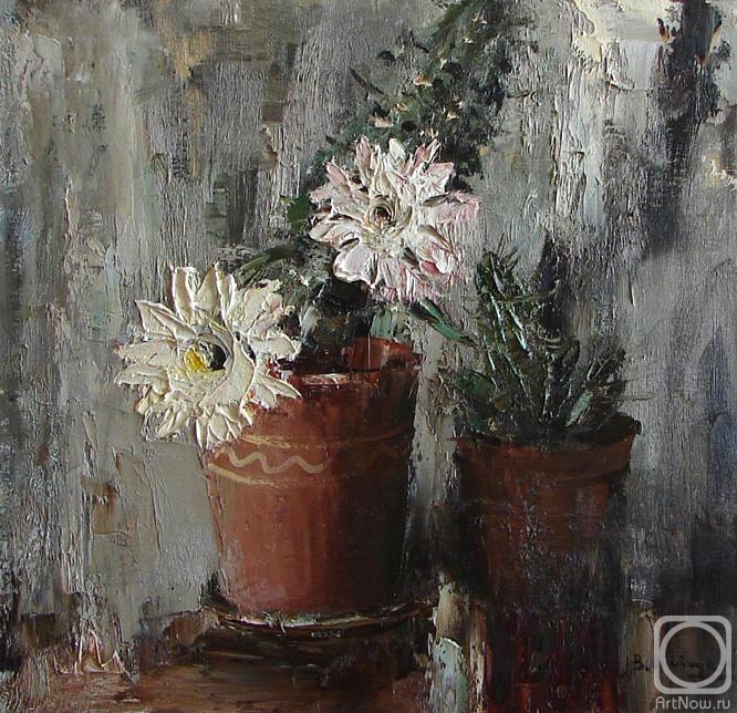 Shevchuk Vasiliy. Cactus in bloom