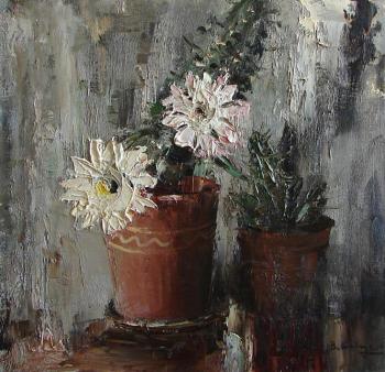 Cactus in bloom. Shevchuk Vasiliy