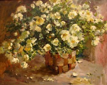 White roses. Shevchuk Svetlana