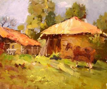 Farmhouse in Ruhovtsi. Petko (A Mountainous Region). Shevchuk Svetlana
