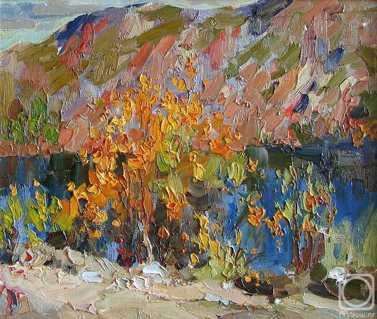 Shevchuk Svetlana. Autumn fire north