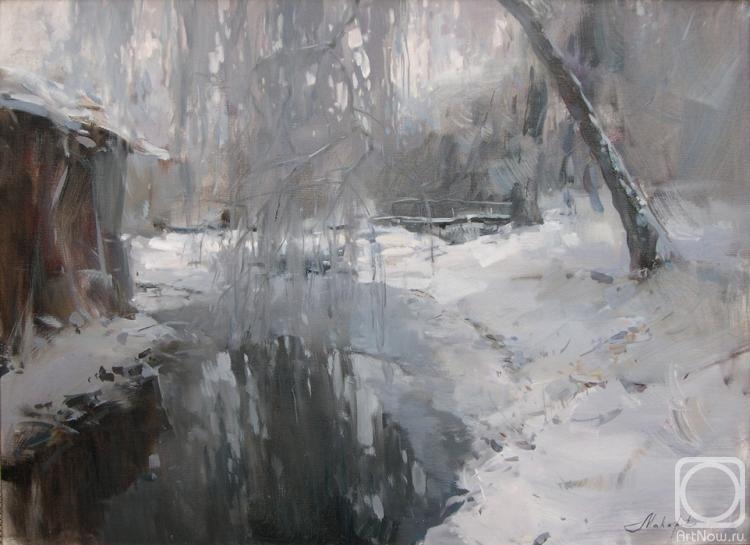 Makarov Vitaly. Reflections of winter