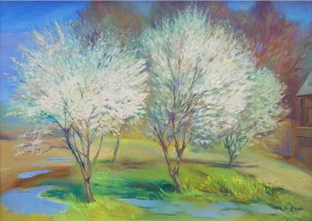 ����� ������. ������ �����