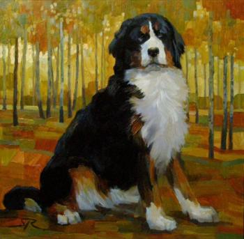 Hund, which Isen (Sennenhund). Volkov Sergey