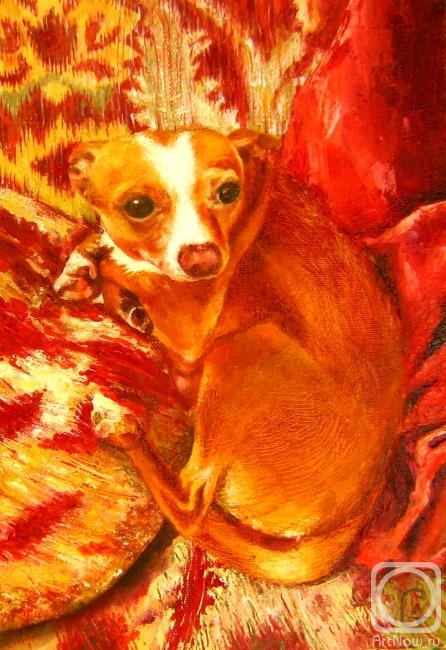 ������� ������ �� ������. ���������� �������. �����