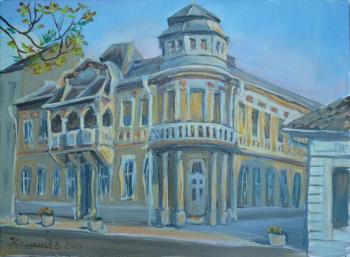 The house of the mayor. Pancevo, Serbia. Kashina Eugeniya