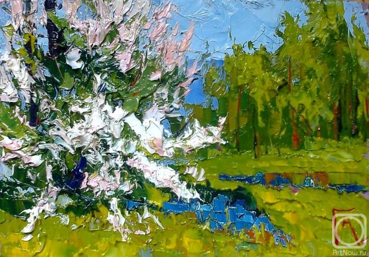 �������. ���������� �������. ���� �������� ������