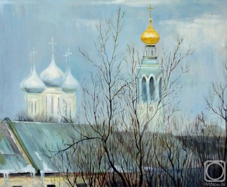Kamaletdinov Azamat. Vologda. Domes behind roofs