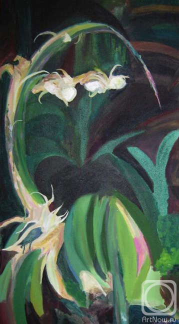 Petrovskaya-Petovraji Olga. Green orchid