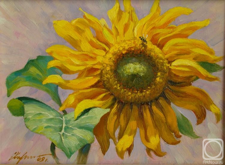 ������� ������ �� ������. �������� ����. ���������