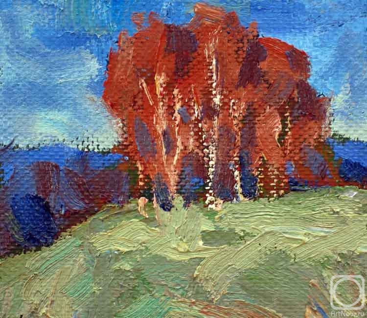 ������� ������ �� ������. ����� ���������. ������