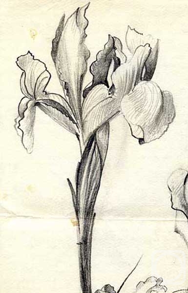 Gerasimov Vladimir. Flowers, sketches 12 (fragment)