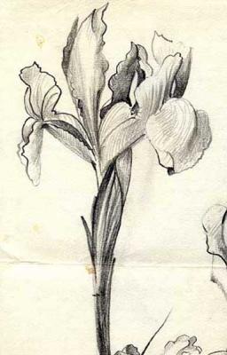 Flowers, sketches 12 (fragment) (A Fragment). Gerasimov Vladimir