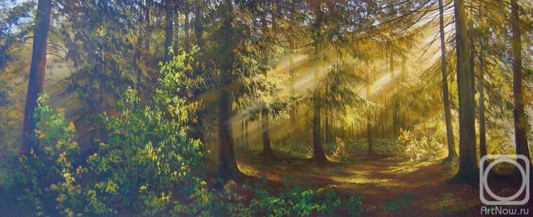 ������� ������ �� ������. ����� ���������. 257 ��� �����...(��������)