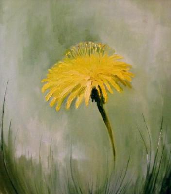 Dandelion flower. Kamaletdinov Azamat