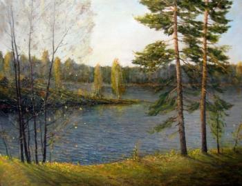 River Msta. Korytov Sergey