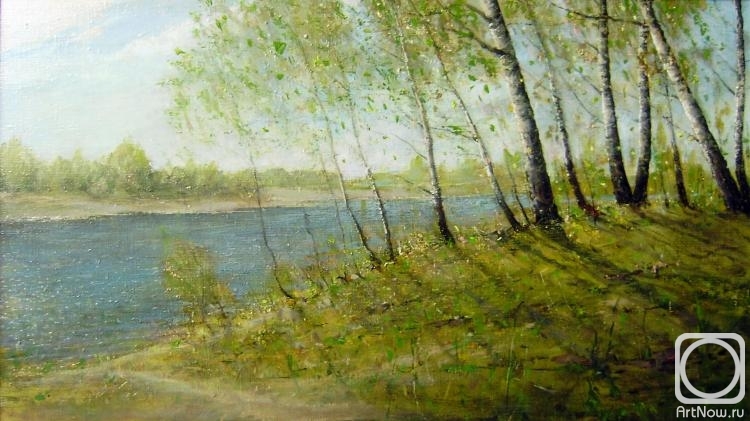 Korytov Sergey. Irtysh River. Anabranch