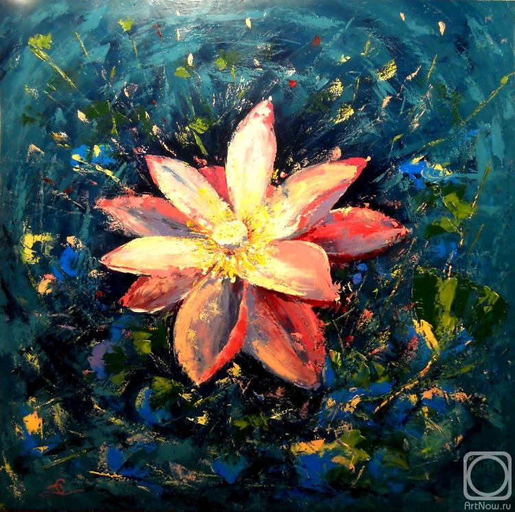 Stolyarov Vadim. Chinese lotus