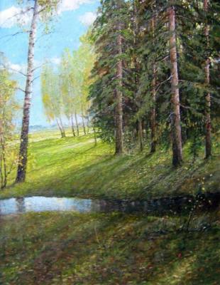 Flowing stream. Korytov Sergey