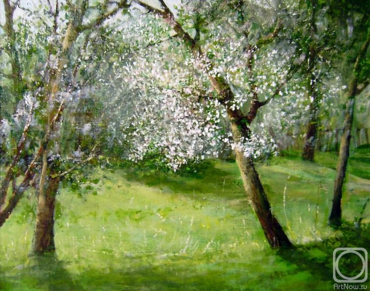 Korytov Sergey. The old apple tree
