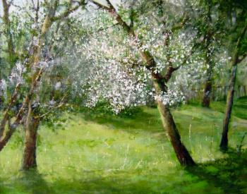 The old apple tree (Old Apple Tree In Bloom). Korytov Sergey