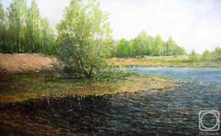 Korytov Sergey. Small lake for a concrete road under the Omsk