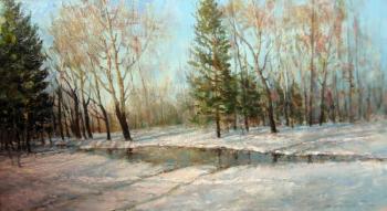 Spring. Central Park of Culture and Leisure (Leisure Cultural). Korytov Sergey