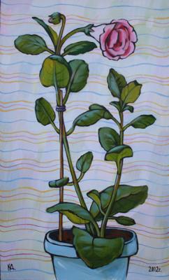 ������� ����������