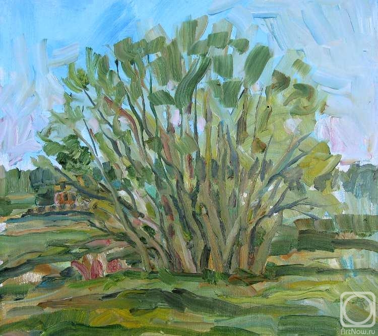 ������� ������ �� ������. �������� ������. 6 ���