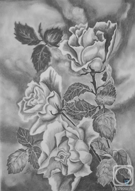 Lambeva Valentina. white roses