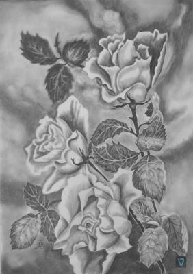 white roses. Lambeva Valentina
