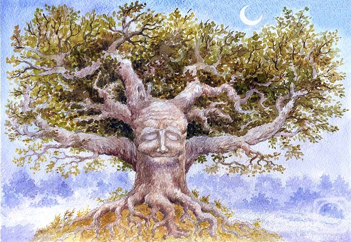 �������. �������� ������. ��������