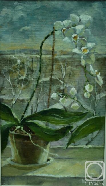 ������� ������ �� ������. ������� �����. � �� ����� ����