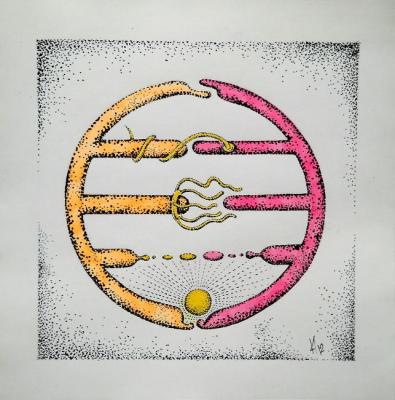 ������� ������� �������