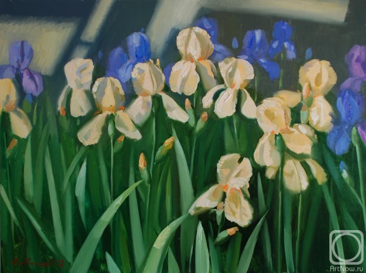 ������� ������ �� ������. ������� �����. ����� �����-�������