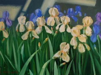 Irises are pale beige. Makarov Anton