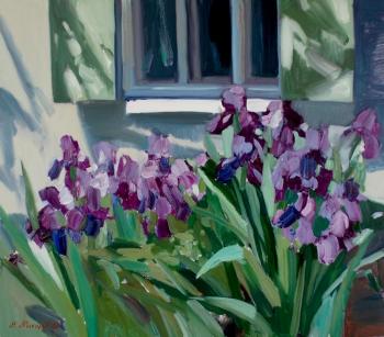 ������� ����������� ����� � ���� � ����