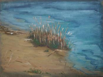 ������� ���������� ����� ����