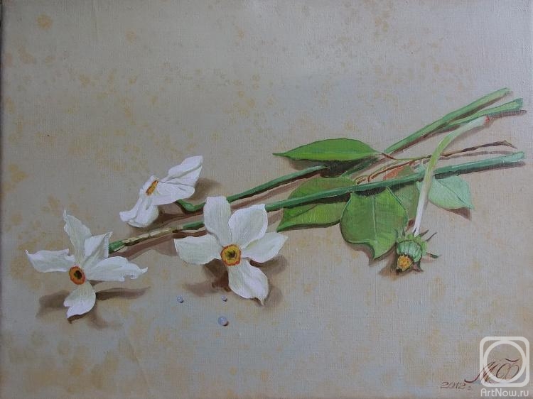 ������� ������ �� ������. ������� ������. �������