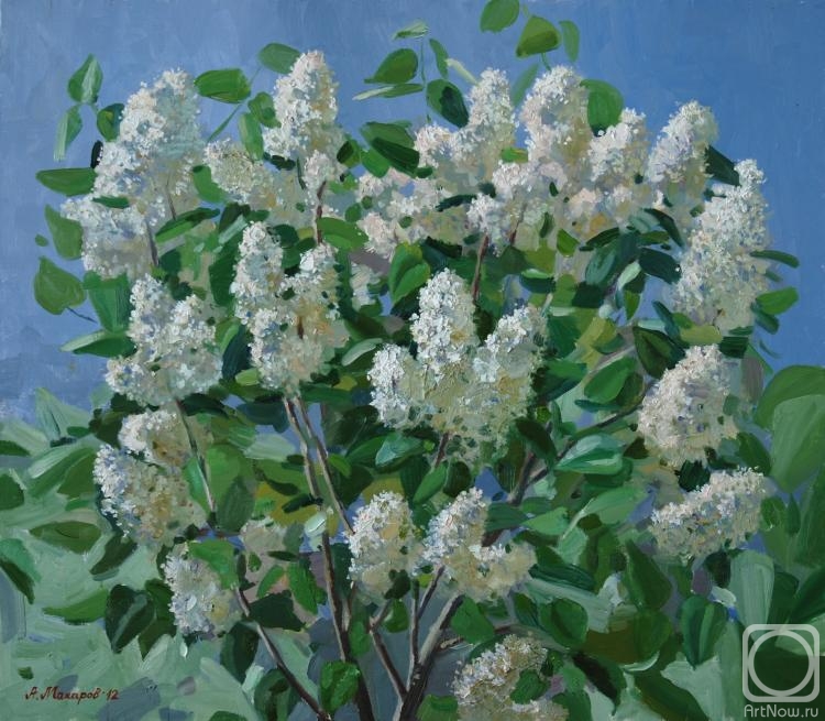 ������� ������ �� ������. ������� �����. ����� ������