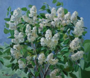 ������� ������ �������