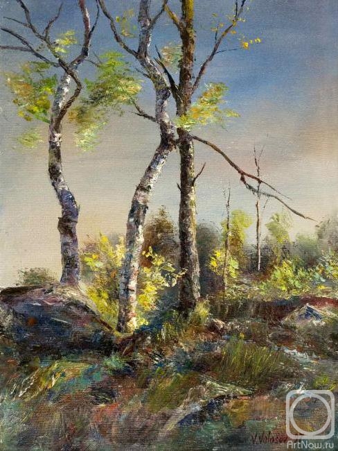 Volosov Vladmir. Trees and stones