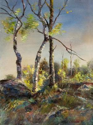Trees and stones. Volosov Vladmir