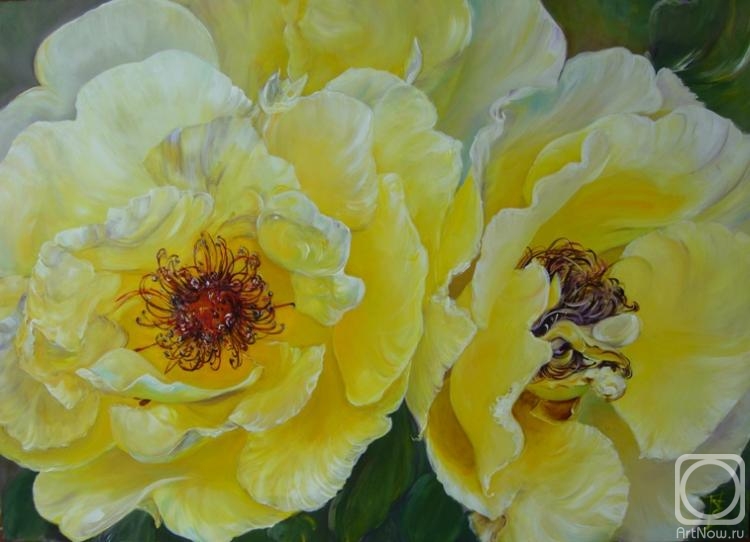 ������ �����. ������ ��������