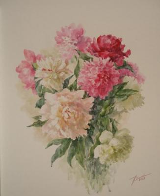 Peonies