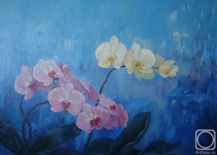 ������� ������ �� ������. ������� �������. ���������