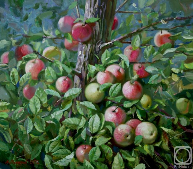 ������� ������ �� ������. ������� �����. ����� ������