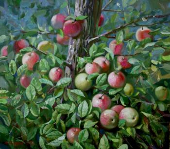 ������� ������ �������