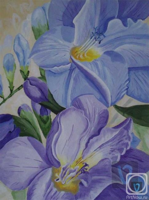 �������. ������� ���������. ��������